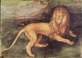 Lion Albrecht Dürer